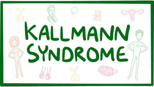 Kallmann Sendromu
