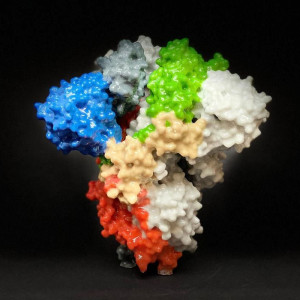 Virüs yüzeyindeki spike proteininin 3D yazıcı çıktısı