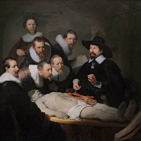 Dr. Nicolaes Tulp ve anatomi