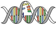 Gen - Genom - Allel- DNA