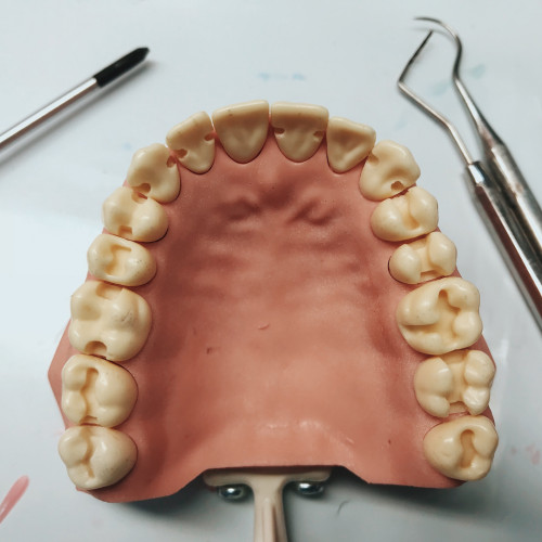 Dental Giriş kaviteleri ve preparasyonu