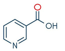 B3 vitamini - Niacin - Nikotinik asit