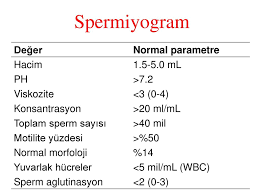 Spermiogram analizi