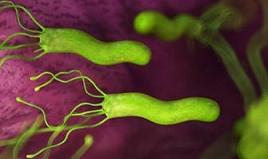 Helicobacter pylori stomatiti
